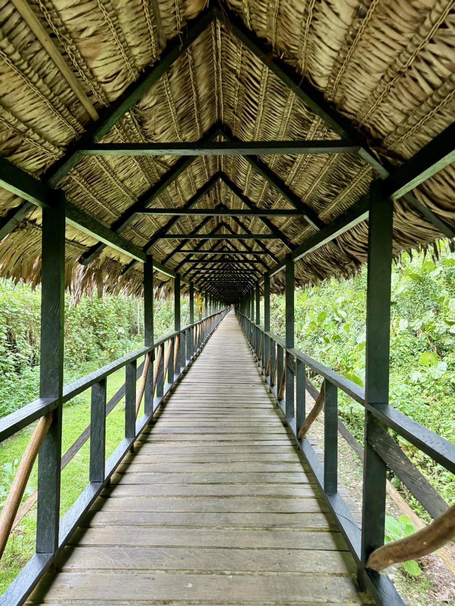 Biohotel Arara River Leticia Kültér fotó